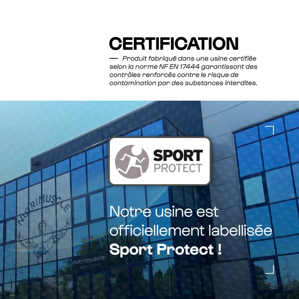 Yerba Maté Bio Guayapi – Image 6