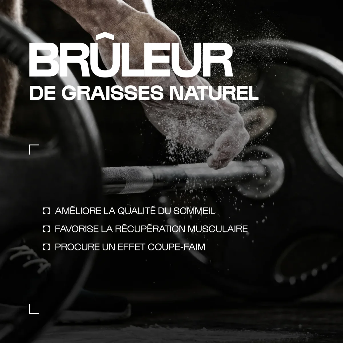 Yerba Maté Bio Guayapi – Image 2